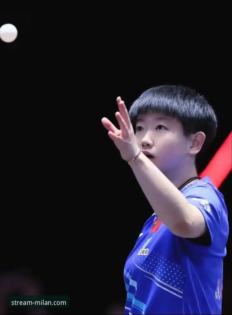 3个关键回合，带你复盘孙颖莎新加坡大满贯首轮晋级之路