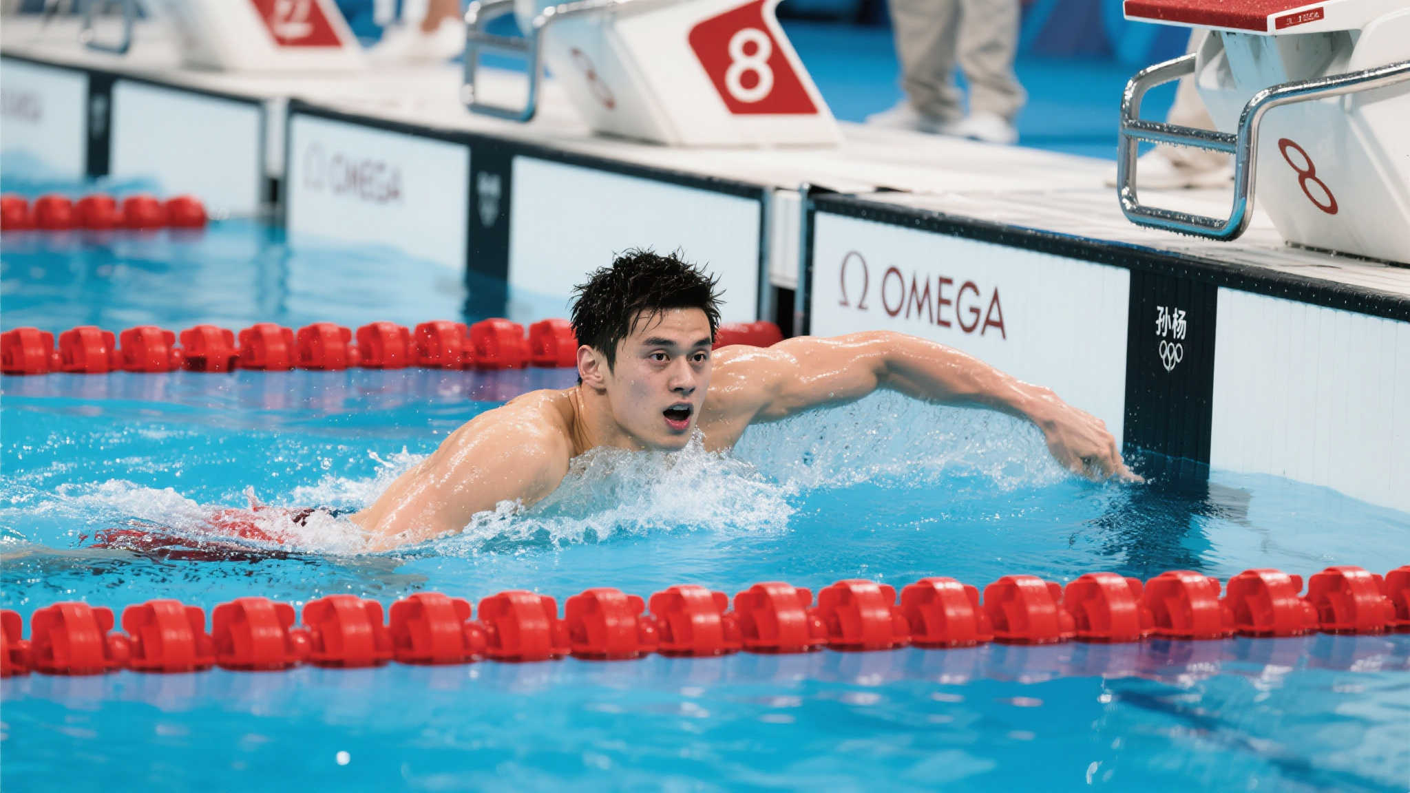 期待已久的 期待已久的